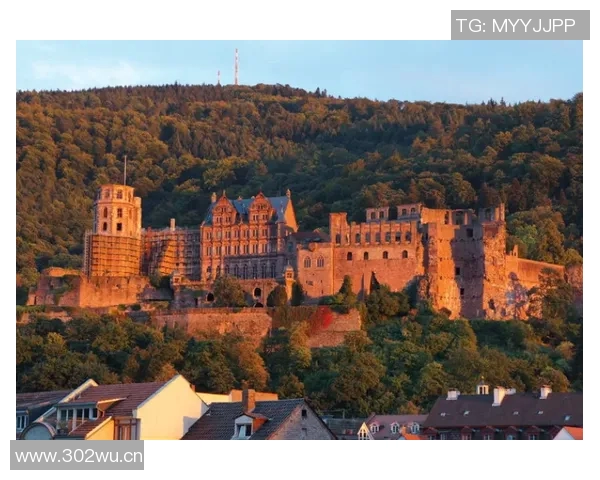 海德堡有德甲球队吗?城市与职业足球的关系